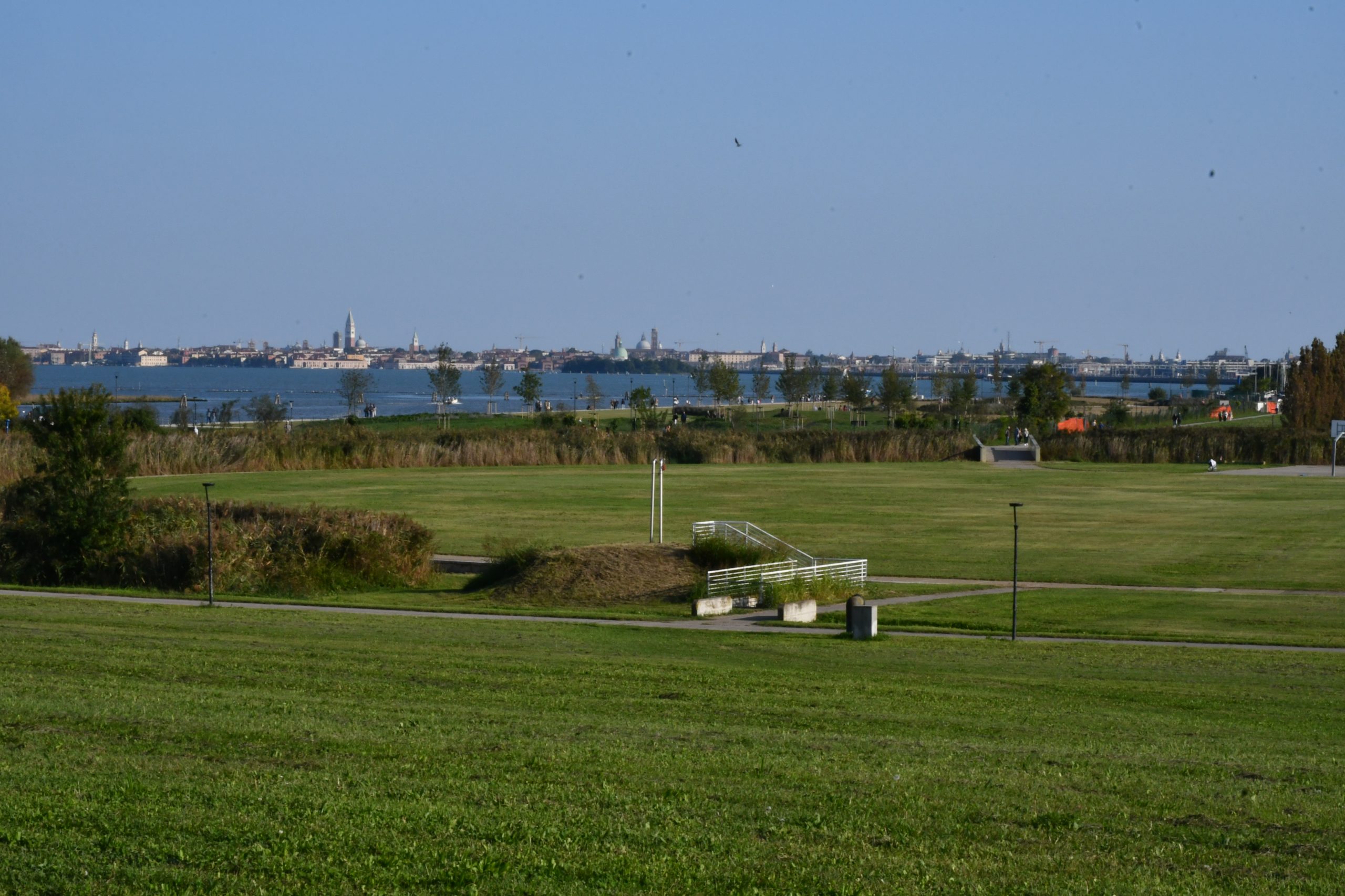 DSC_0717